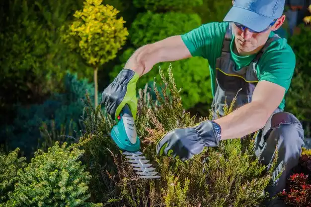 landscaping services Snover